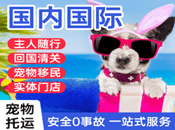 连云港花果山机场邮寄国际宠物托运 【国